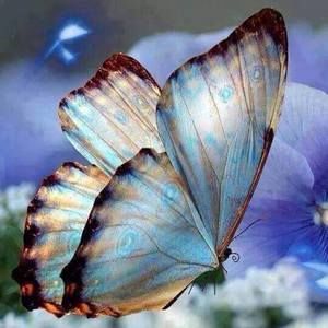 Meet your Posher, Susy